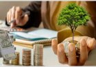 कॉन्ट्रा फंड रणनीति से कैसे बनाएं मुनाफा? जानिए आईसीआईसीआई प्रूडेंशियल के नए एनएफओ की डिटेल्स