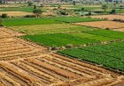 BIZ 1 और BIZ 2 श्रेणी के खिलाफ किसानों का हल्लाबोल, जानिए क्यों हो रहा है विरोध