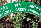 शाहपुरा तालाब स्टॉप डैम मामला; NGT ने सभी पक्षों को रिपोर्ट पेश करने के लिए दी तीन सप्ताह की मोहलत