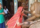 गणेश उत्सव और नवरात्रि के लिए मूर्तियां बना रहीं महिलाएं, आत्मनिर्भरता की अनूठी दास्तान
