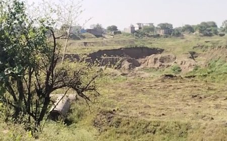 धार जिले में कम बारिश से किसानों की बढ़ी चिंता, रबी फसल में गेहूं की जगह चने की बोवनी पर जोर