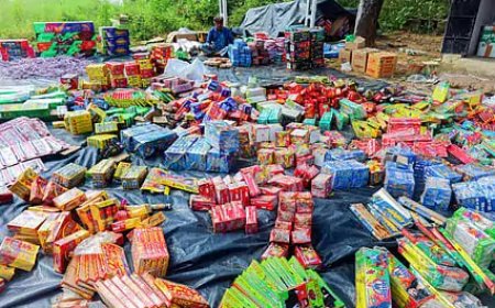 कलेक्टर शिवम वर्मा का आदेश, पटाखों के लिए 27 अक्टूबर से जमा होंगे आवेदन; कार्बाइड गन पर बैन