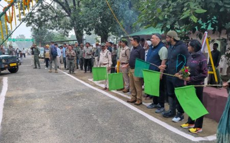 मंडला में कान्हा नेशनल पार्क का नया सत्र शुरू, खटिया, मुक्की और सरही गेट पर्यटकों के लिए खुले