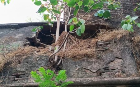 देवी अहिल्याबाई के ऐतिहासिक किले की मरम्मत योजना में शामिल, प्रशासन लेगा जायजा