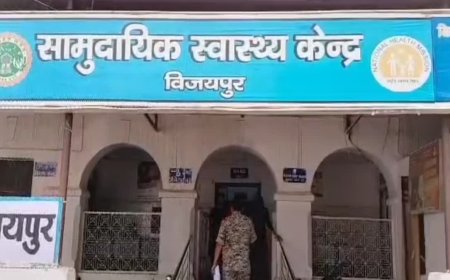 त्यौहार पर घर लौट रहे चाचा-भतीजे की सड़क हादसे में दर्दनाक मौत, बाइक अनियंत्रित होकर पेड़ से टकराई