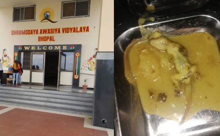 रातीबड़ इलाके के आवासीय विद्यालय का मामला, बच्चों को परोसे गए खाने में मिली छिपकली