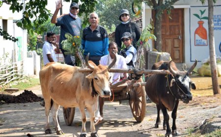 मध्य प्रदेश टूरिज्म बोर्ड की बड़ी कामयाबी; छिंदवाड़ा के सावरवानी और चिमटीपुर ने खींचा देश का ध्यान