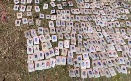 मंडलेश्वर में नर्मदा तट पर लावारिस मिले राऊ विधानसभा के 343 वोटर कार्ड, BLO से मांगा स्पष्टीकरण