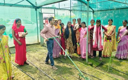 कृषि विज्ञान केंद्र शहडोल में किसानों को मिला प्रशिक्षण, वैज्ञानिकों ने दिए मृदा स्वास्थ्य और जैविक खेती के टिप्स