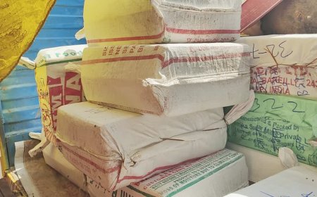 मुरैना से बिलासपुर सप्लाई हो रहा था मिलावटी मिल्क केक, खाद्य विभाग की टीम ने कोल्ड स्टोर में रखवाया माल