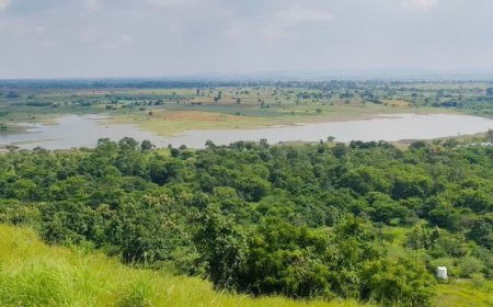 जल्द आम जनता के लिए खुलेगा धार का नया नगर वन, 15 अलग-अलग प्रकार के फॉरेस्ट और गार्डन विकसित