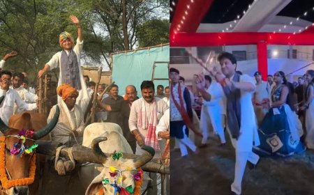 अशोकनगर दौरे पर केंद्रीय मंत्री ज्योतिरादित्य सिंधिया का अनोखा अंदाज, चलाई बैलगाड़ी और खेला डांडिया