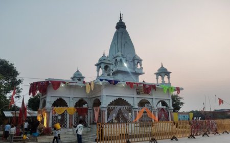 बगाज माता मंदिर में जहरीले जीव-जंतुओं के जहर से मुक्ति का दावा, बुंदेलखंड के इस शक्तिपीठ में उमड़ती है भारी भीड़