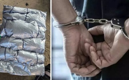 अंतरराष्ट्रीय बाजार में करोड़ों की कीमत की मेथामेथैमाइन ड्रग्स जब्त, राजस्व खुफिया निदेशालय की बड़ी कार्रवाई