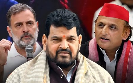 सपा-कांग्रेस सीट बंटवारे पर बृजभूषण का बड़ा बयान, 'मैं होता तो 25 सीटें भी न देता'