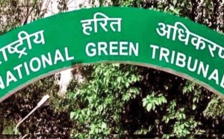 बिना वैध अनुमति और एनओसी के संचालित क्रशर इकाइयों पर कसेगा शिकंजा, जानें पूरी खबर