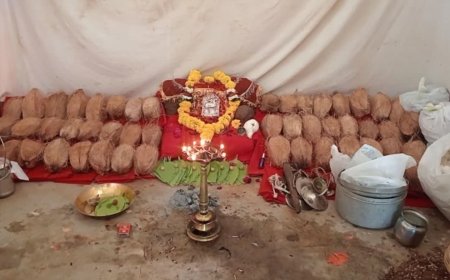 मालवीर के गोसाई टांडा में नवरात्रि पर अनोखी परंपरा, 9 दिन के लिए मंदिर से बाहर विराजित होती हैं मां चालकी देवी