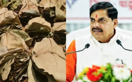 शहडोल में 89 निर्माण कार्यों का भूमिपूजन और 45 का लोकार्पण करेंगे सीएम मोहन यादव