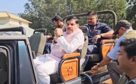 मुख्यमंत्री ने कान्हा में बाघ का किया दीदार, असम से लाए गए जंगली भैंसों को प्राकृतिक आवास में किया मुक्त