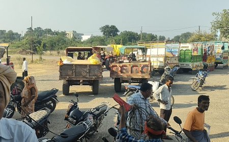 मक्के के भाव ने तोड़े रिकॉर्ड, 2700 रुपए प्रति क्विंटल बिका मक्का, किसानों में खुशी की लहर