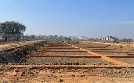 छत्तीसगढ़ रेरा का कड़ा फैसला, प्लाट न मिलने पर डेवलपर को 33 लाख से अधिक लौटाने का आदेश