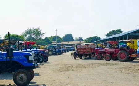 कृषि उपज मंडी गुना में टूटा मक्के की आवक का पुराना रिकॉर्ड, 4000 किसान 2000 ट्रैक्टर लेकर पहुंचे