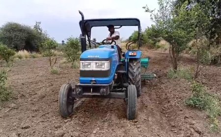 रतलाम में 50 हजार हेक्टेयर जमीन रहेगी खाली, पानी के संकट से चना और सरसों की तरफ मुड़े किसान