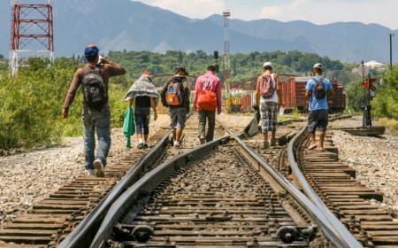 पलायन के लिए बदनाम सीधी का बकवा गांव अब लोककला से रच रहा इतिहास, 75% पलायन पर लगी रोक