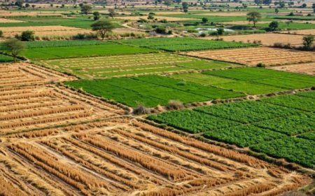 BIZ 1 और BIZ 2 श्रेणी के खिलाफ किसानों का हल्लाबोल, जानिए क्यों हो रहा है विरोध
