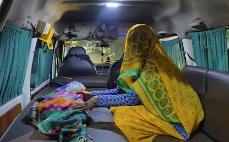पलसोड़ी गांव में दिल दहला देने वाली घटना, आंगन में खेल रही 3 साल की मासूम पर आवारा कुत्तों का हमला; मौत