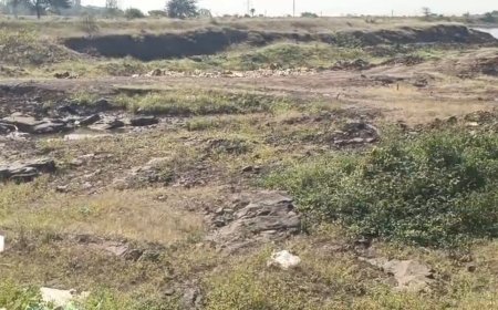 कम बारिश से सूखे की स्थिति में धार, जल संरक्षण और मुआवजा की मांग को लेकर किसानों का जल सत्याग्रह