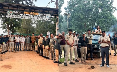 पर्यटकों के लिए खुले जंगल के दरवाजे, 1 अक्टूबर से शुरू हुआ नया पर्यटन सत्र