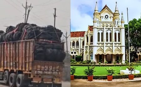 जडेरुआ इंडस्ट्रियल एरिया में टायर जलाने से फैल रहे प्रदूषण पर हाईकोर्ट सख्त, अधिकारियों और फैक्ट्रियों को नोटिस