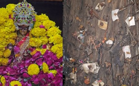 महाकाल की नगरी में सती माता मंदिर का अनोखा रहस्य, पेड़ों पर टंगी तस्वीरें और तंत्र क्रियाएं खींचती हैं ध्यान