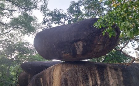 जबलपुर की अनूठी प्राकृतिक धरोहर खतरे में? दस्तावेजों में हेरफेर कर जमीन निजी हाथों में जाने का आरोप