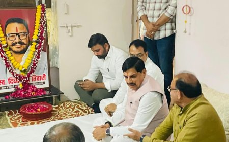 कलेक्टर द्वारा गठित जांच समिति की रिपोर्ट के बाद नगर निगम आयुक्त ने की कार्रवाई, और भी गिर सकती है गाज
