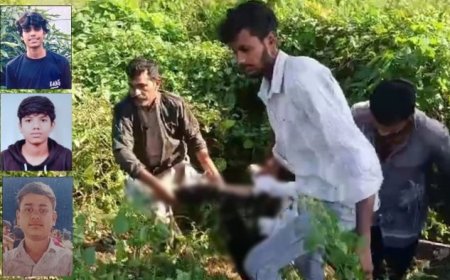 कालाकुंड रोड पर दर्दनाक हादसा, बाइक पेड़ से टकराने से तीन नाबालिग दोस्तों की मौत