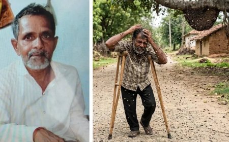 खंडवा जिले में मधुमक्खियों के काटने से किसान की मौत, अचानक हुए हमले से नहीं मिला संभलने का मौका