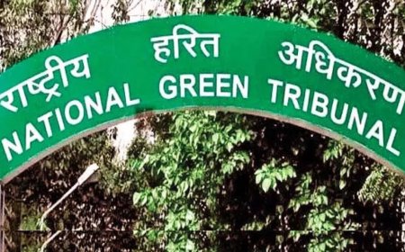 शाहपुरा तालाब स्टॉप डैम मामला; NGT ने सभी पक्षों को रिपोर्ट पेश करने के लिए दी तीन सप्ताह की मोहलत