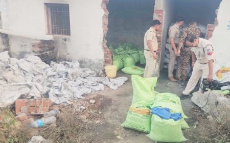मुरैना में नकली खाद बनाने वाली अवैध फैक्ट्री का भंडाफोड़, 500 बोरी नकली DAP और पैकिंग मशीन जब्त; 11 पर केस दर्ज