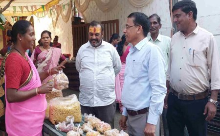 परसवाड़ा में आजीविका मिशन ने बदली तस्वीर, आत्मनिर्भर बनकर 'लखपति दीदी' बन रही हैं आदिवासी महिलाएं