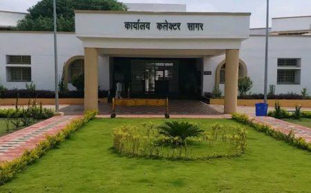 सागर में 12 अवैध कॉलोनाइजरों पर कलेक्टर प्रतिभा पाल का बड़ा एक्शन, FIR दर्ज कराने और बुलडोजर चलाने के आदेश
