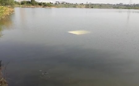 बैढ़न से शासन जा रही तेज रफ्तार कार अनियंत्रित होकर मयार नदी में समाई, पांचों लोग सुरक्षित बाहर निकाले गए