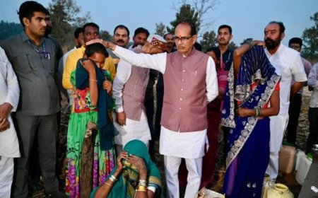 बुधनी वन क्षेत्र अतिक्रमण मामले में जांच रिपोर्ट शासन को सौंपी, सागौन के पौधे काटकर बनाई गई थीं झोपड़ियां
