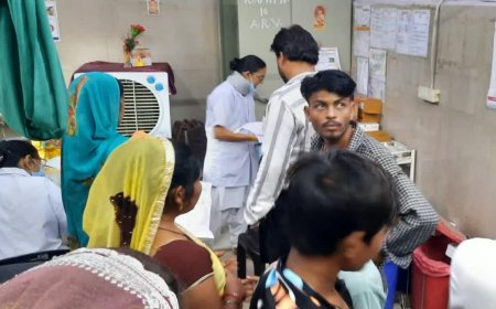 जिला अस्पताल में रोजाना पहुंच रहे 70 से अधिक डॉग बाइट के केस, नगरपालिका की लापरवाही से लोग परेशान