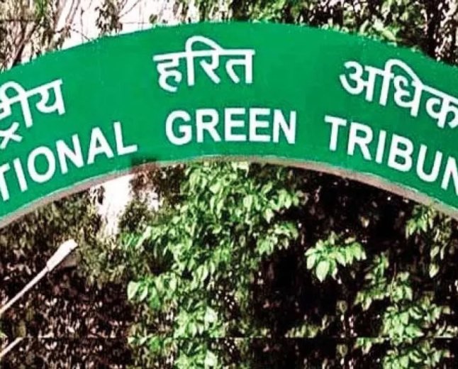 शाहपुरा तालाब स्टॉप डैम मामला; NGT ने सभी पक्षों को रिपोर्ट पेश करने के लिए दी तीन सप्ताह की मोहलत